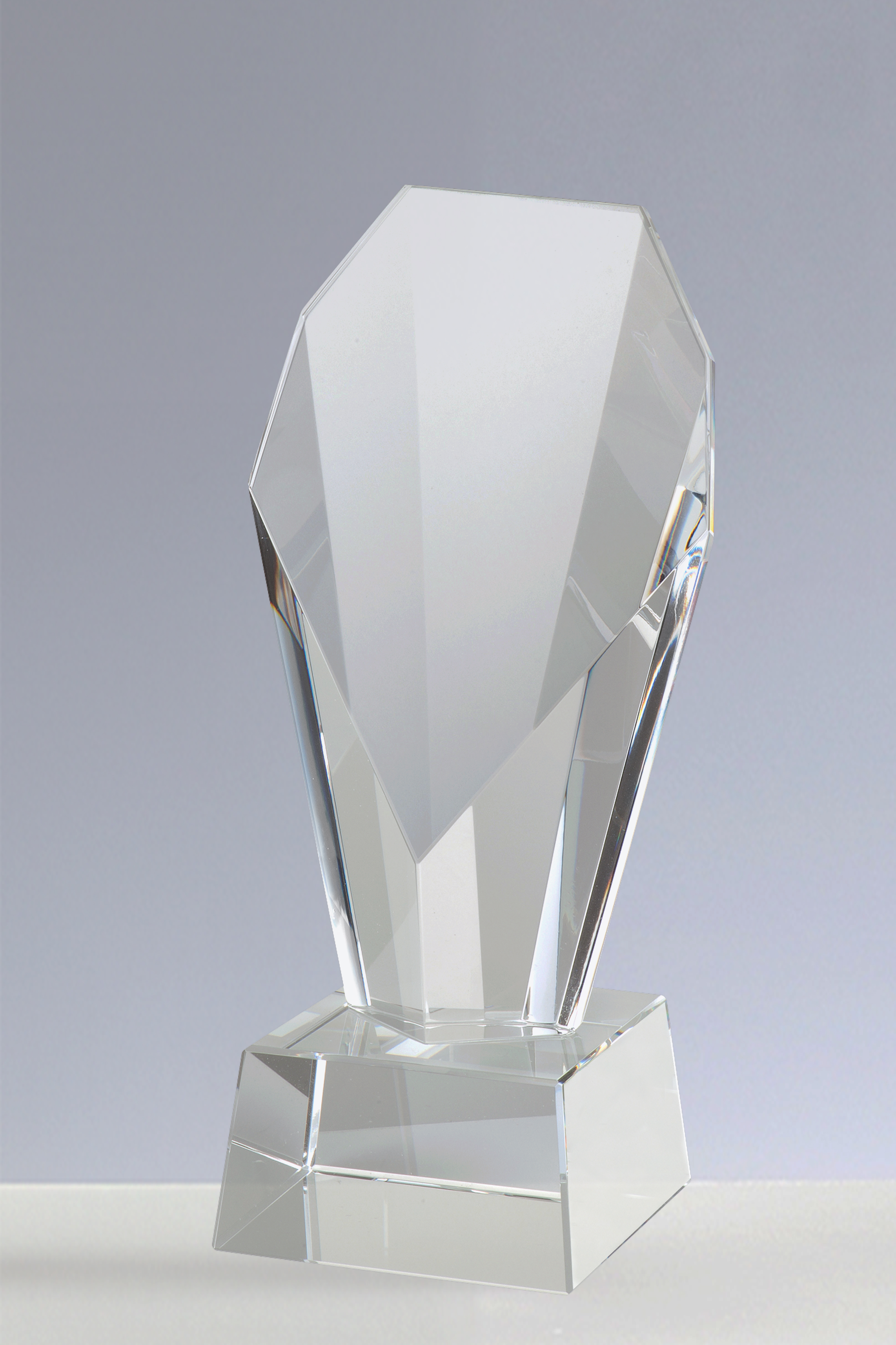 Trofee din Cristal 21